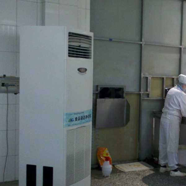 三亚食品正负离子空气杀菌器